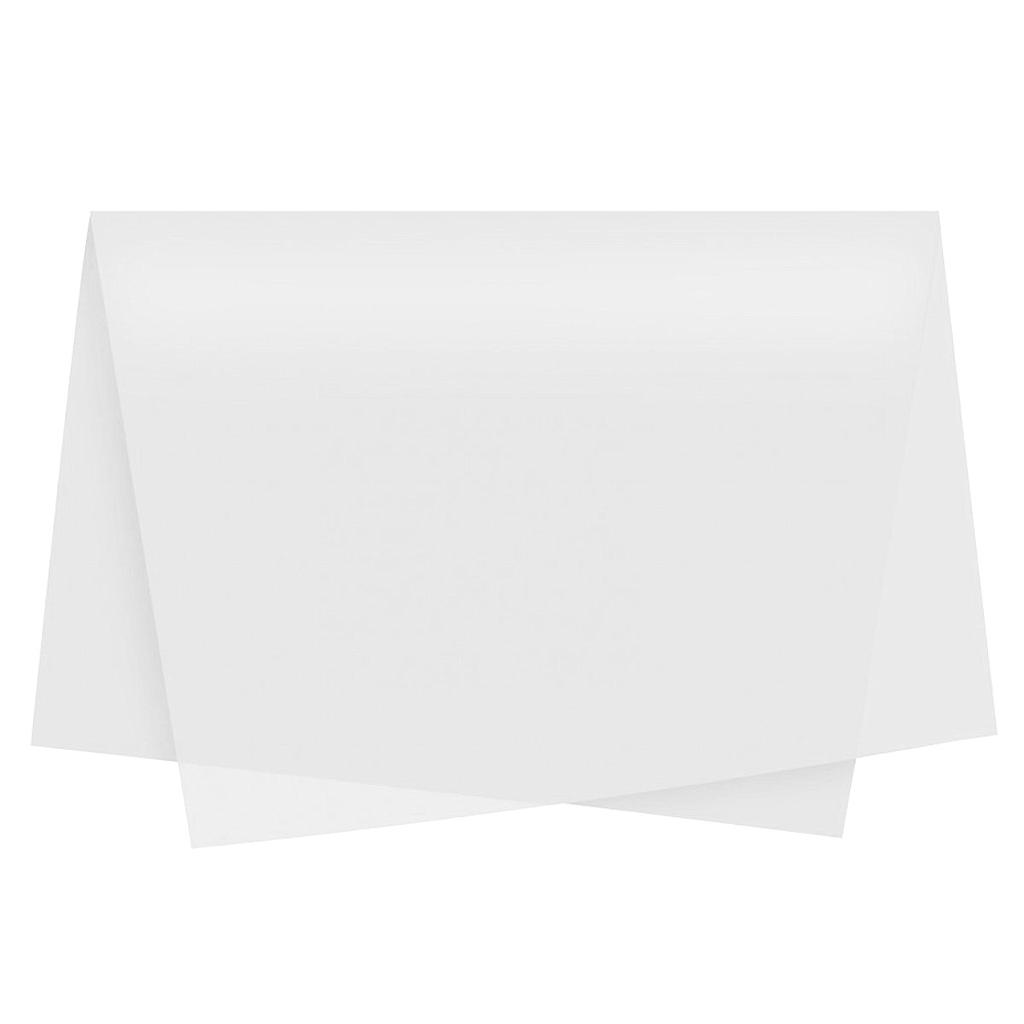 PAPEL SEDA VMP 48 X 60CM BRANCO COM 100