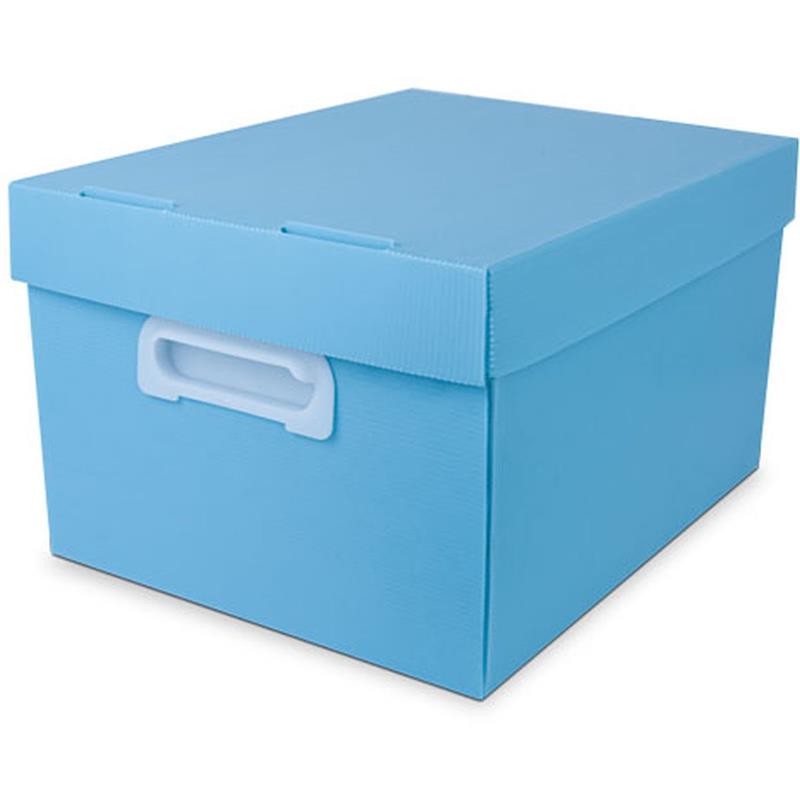 CAIXA ORGANIZADORA THE BEST BOX G 437X310X240 AZP - POLIBRAS UNIDADE