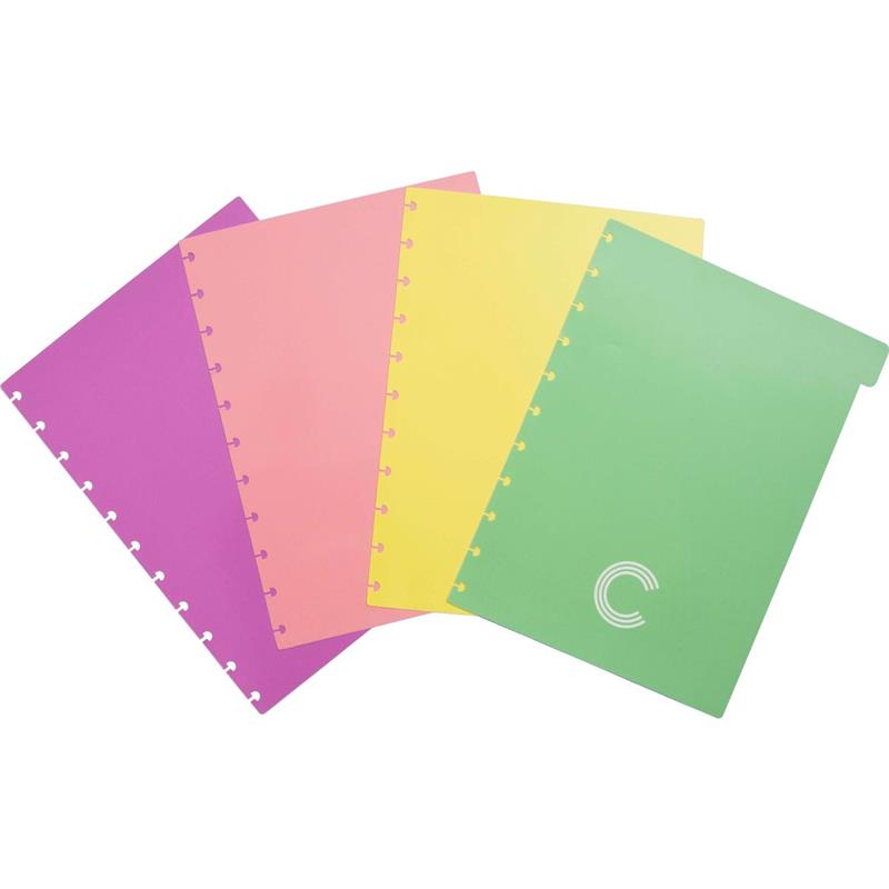 CADERNO INTELIGENTE (DIVISÓRIA) GRANDE PASTEL C/4 UNID. - CADERNO INTELIGENTE PACOTE