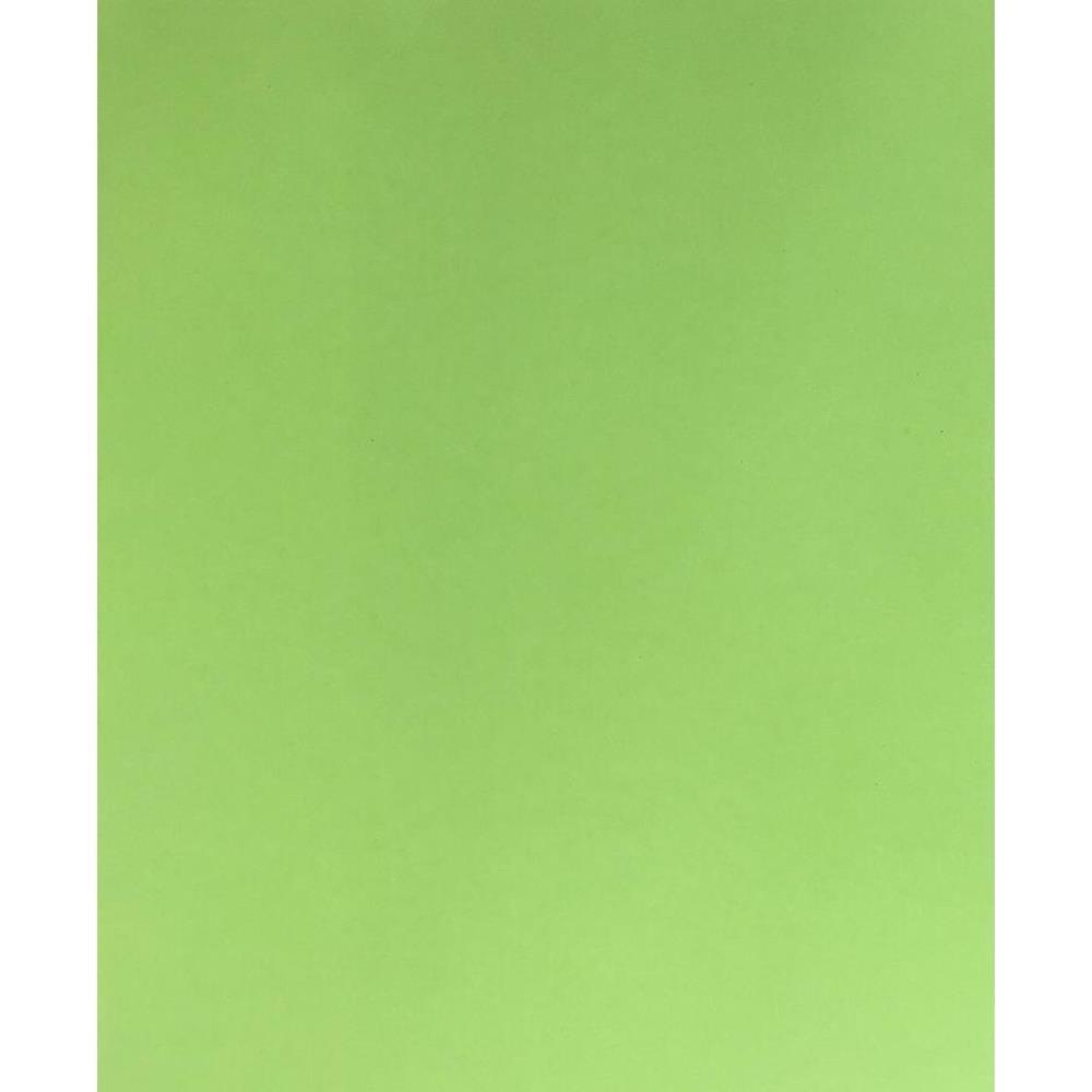 PLACA EM EVA 47X40CM VERDE CLARO 1,8MM. DUBFLEX PCT.C/10