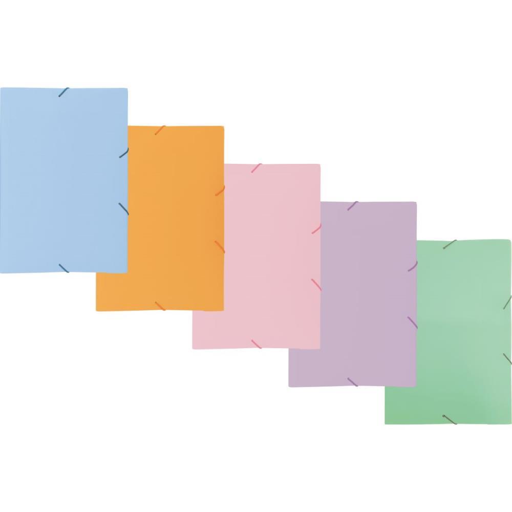 PASTA ABA ELASTICA PLASTICA OFICIO FOSCA TONS PASTEL (S) ACP PCT.C/10