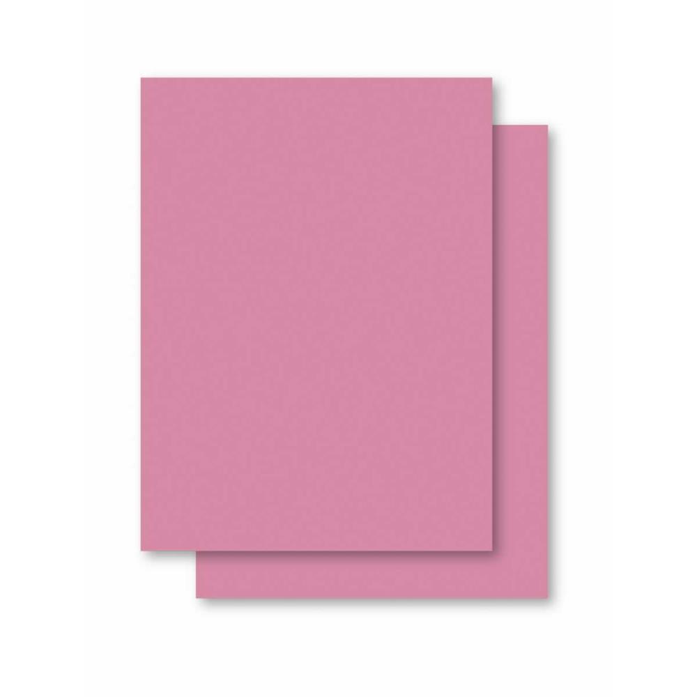 PAPEL CARTOLINA ROSA ESCOLAR 50X66CM.140GRS. JANDAIA PCT/100