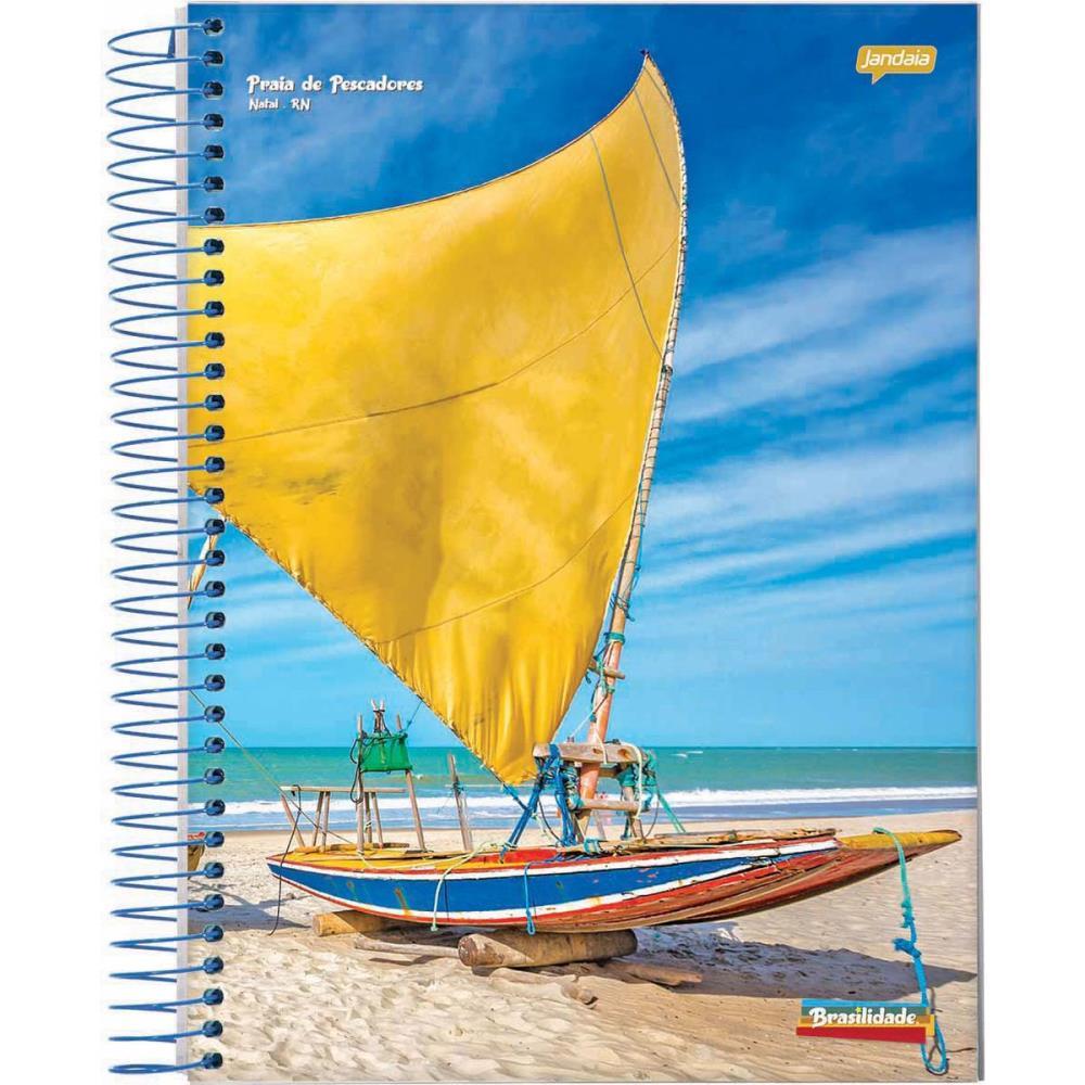 CADERNO 01X1 CAPA DURA BRASILIDADE 96FLS. JANDAIA PCT.C/04
