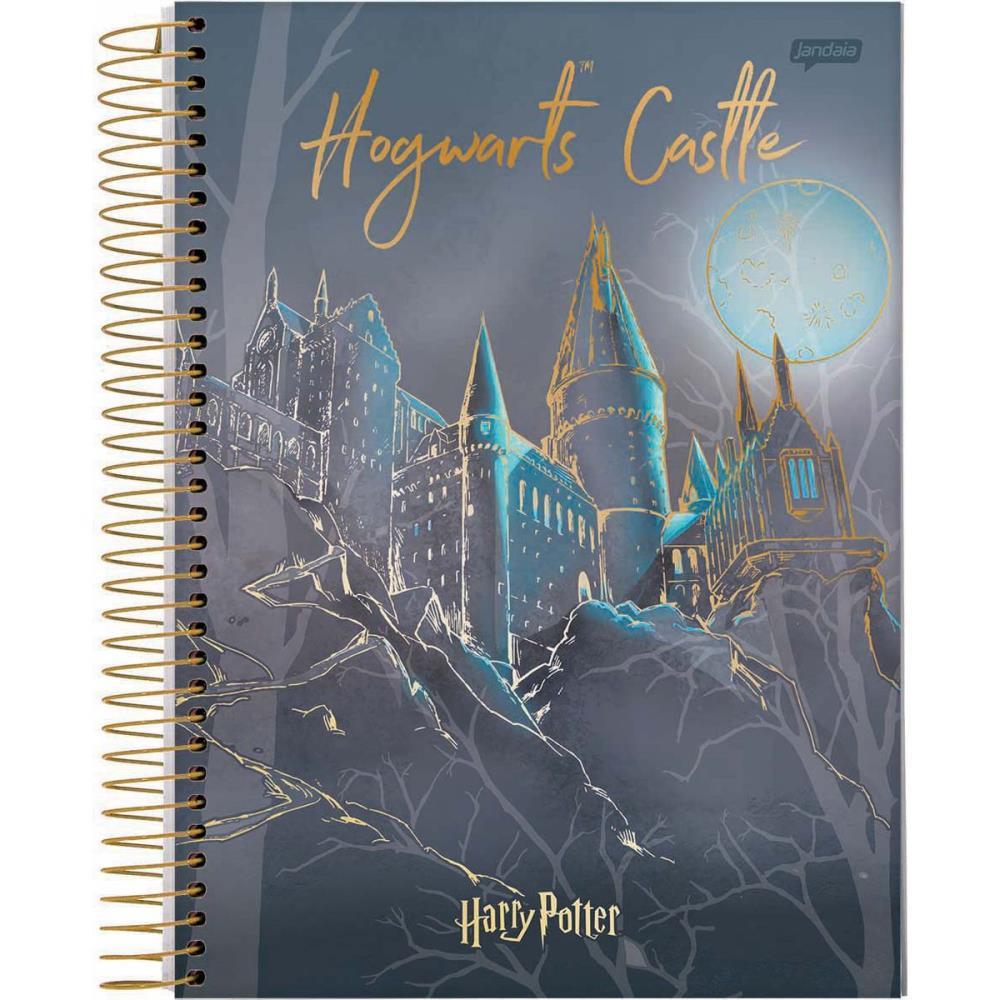 CADERNO 10X1 CAPA DURA HARRY POTTER 200FLS. JANDAIA PCT.C/04