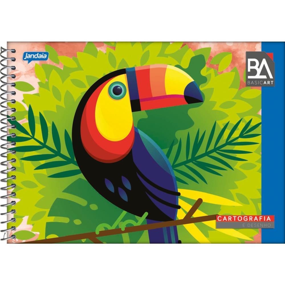 CADERNO DESENHO UNIVERSITARIO BASIC ART 96FLS. ESP. HORIZ. JANDAIA PCT.C/05