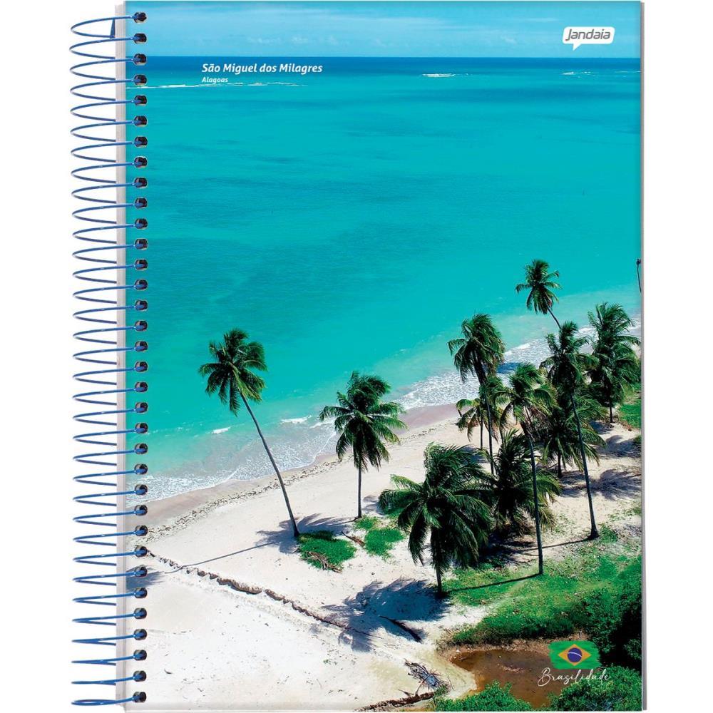CADERNO 20X1 CAPA DURA BRASILIDADE 400FLS. JANDAIA PCT.C/02
