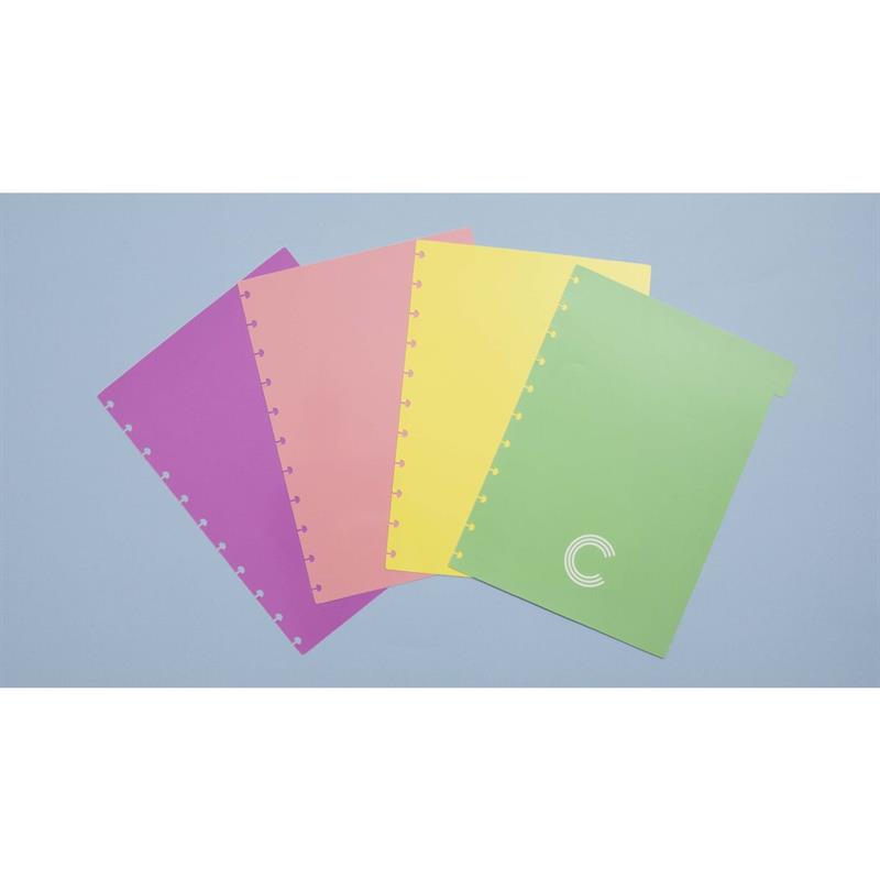 CADERNO INTELIGENTE (DIVISÓRIA) GRANDE PASTEL C/4 UNID. - CADERNO INTELIGENTE PACOTE