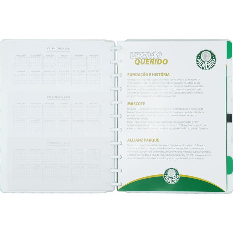 CADERNO INTELIGENTE GRANDE ALVIVERDE 80 FOLHAS - CADERNO INTELIGENTE UNIDADE