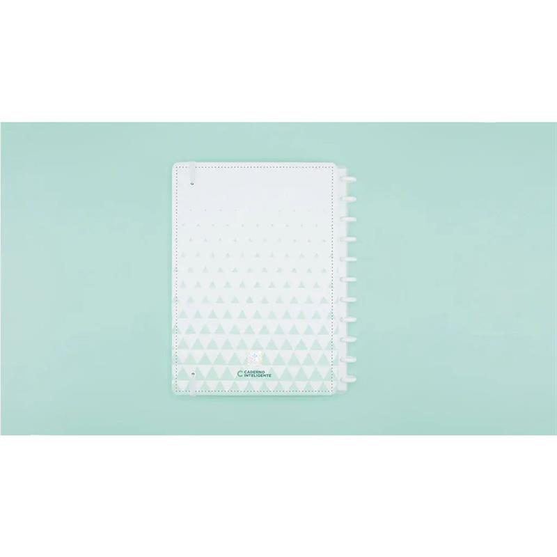 CADERNO INTELIGENTE GRANDE ALVIVERDE 80 FOLHAS - CADERNO INTELIGENTE UNIDADE